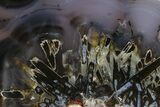 Polished Turkish Stick Agate Slab - Turkey #378141-1